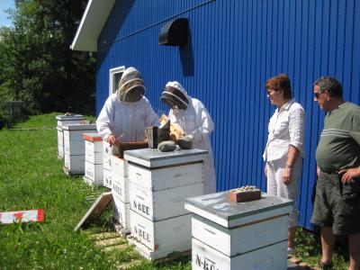 Visite au ruches 2